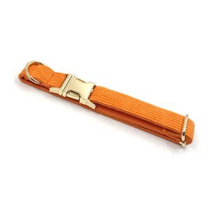 The Perfect Pet Collar for Your Furry Friend