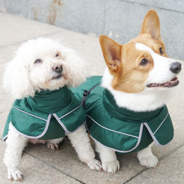 Warm Shell Jacket For Comfortable Pet Outdoor Wear